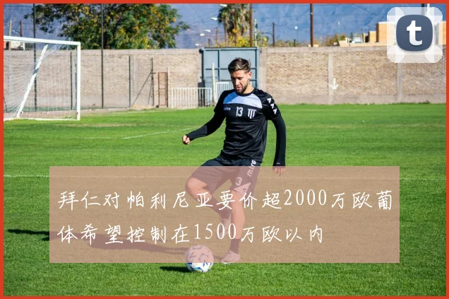 拜仁对帕利尼亚要价超2000万欧葡体希望控制在1500万欧以内