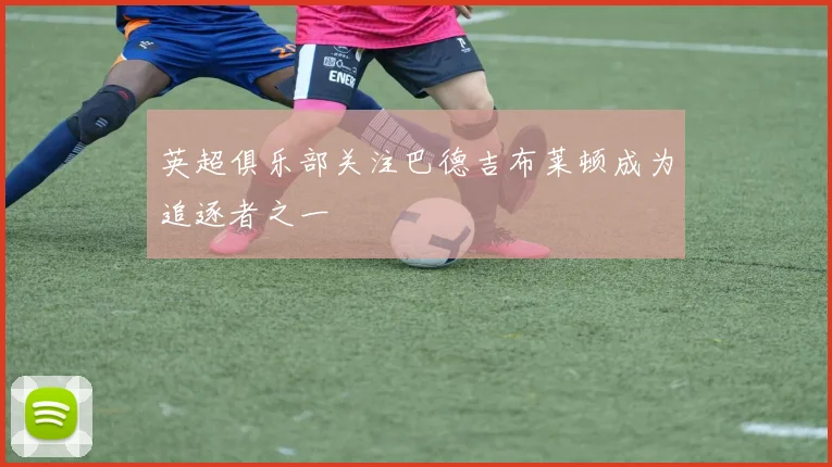 英超俱乐部关注巴德吉布莱顿成为追逐者之一