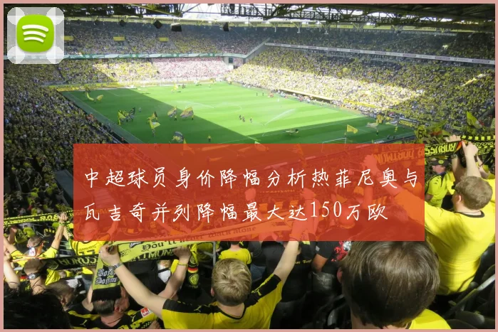 中超球员身价降幅分析热菲尼奥与瓦吉奇并列降幅最大达150万欧